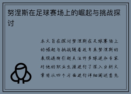 努涅斯在足球赛场上的崛起与挑战探讨